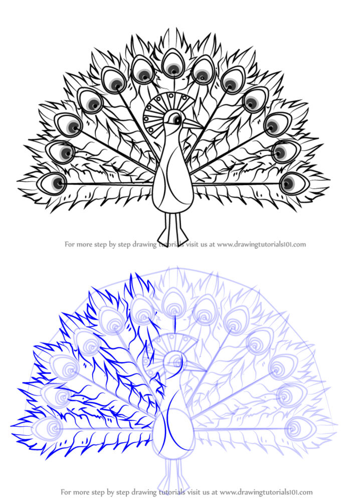 Easy Peacock Drawing Ideas How To Draw Peacock