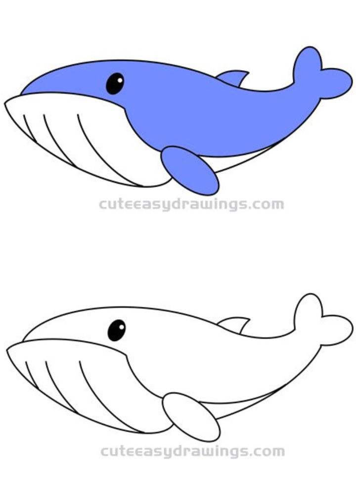 25 Easy Whale Drawing Ideas How To Draw A Whale