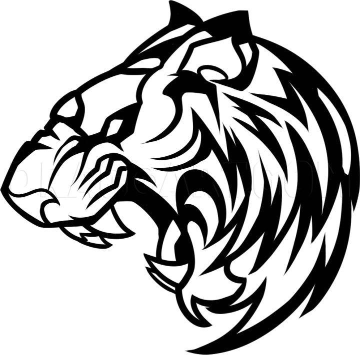 25 Easy Tiger Drawing Ideas - How To Draw A Tiger - Blitsy