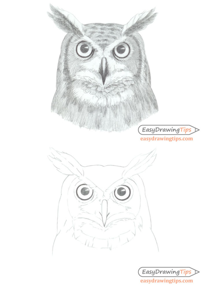 25 Easy Owl Drawing Ideas - How to Draw an Owl - Blitsy