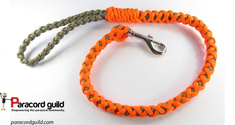 20 Easy DIY Paracord Dog Leash Patterns to Make Blitsy