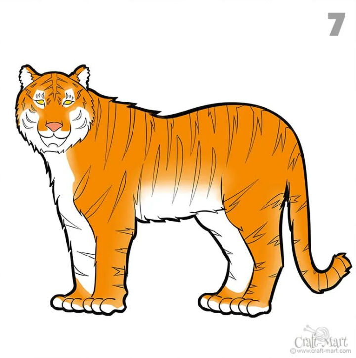 25 Easy Tiger Drawing Ideas - How to Draw a Tiger - Blitsy