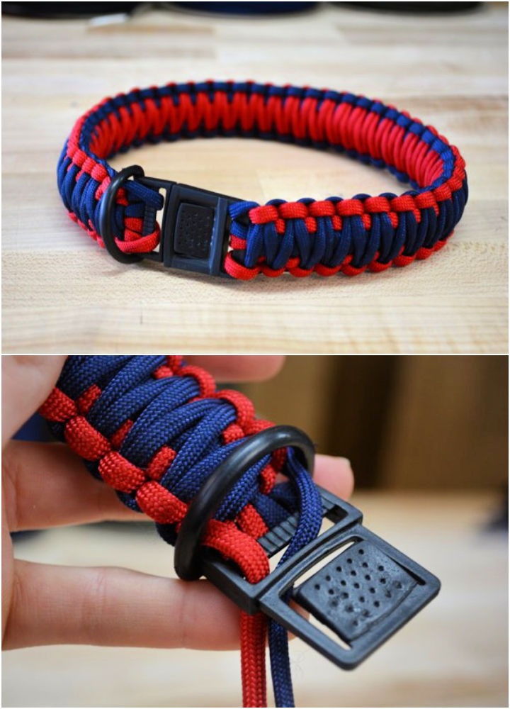 How To Make Paracord Dog Collar With Two Colors at Brandi Stephens blog