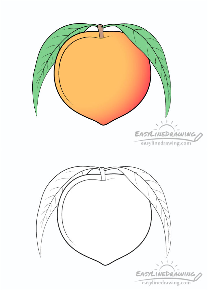 15 Simple Peach Drawing Ideas How to Draw a Peach Blitsy