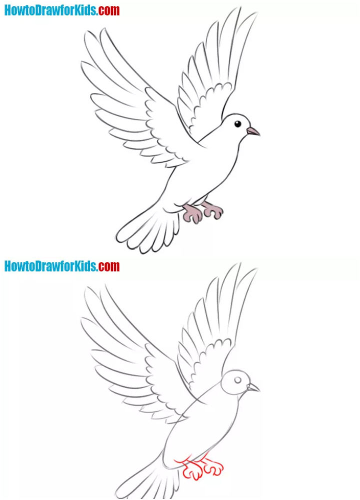 15 Easy Dove Drawing Ideas – How to Draw a Dove - laacib