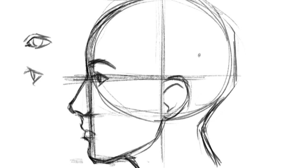 20 Side Profile Drawing Ideas How to Draw a Side Profile