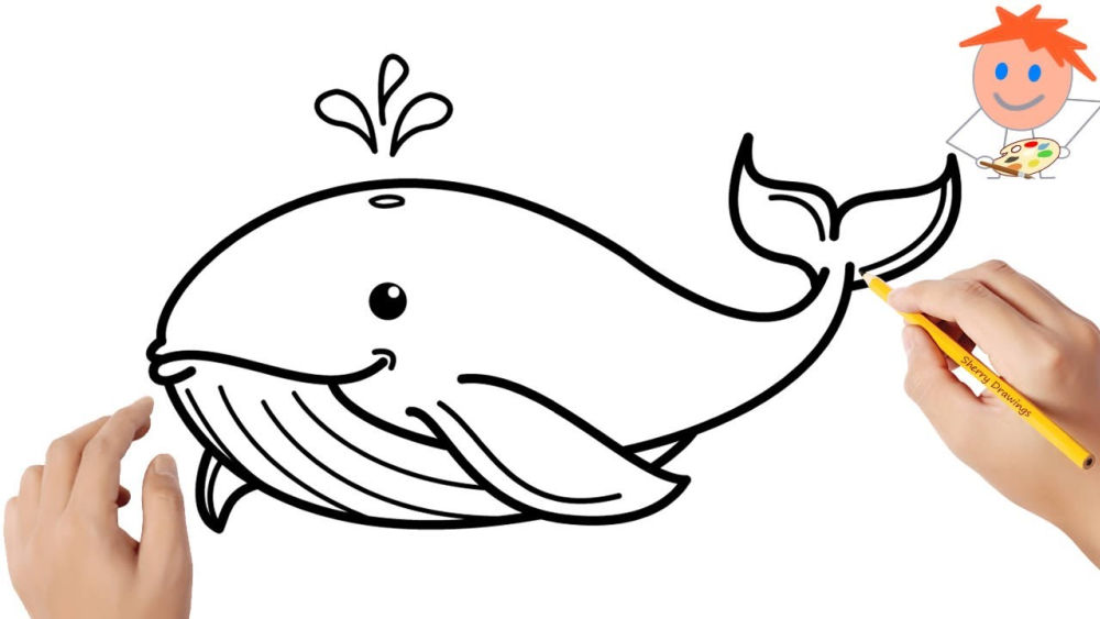 25 Easy Whale Drawing Ideas - How to Draw a Whale