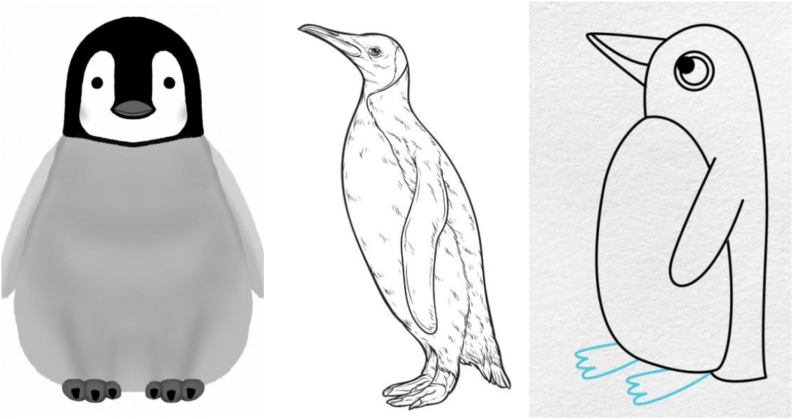 penguin feet drawing