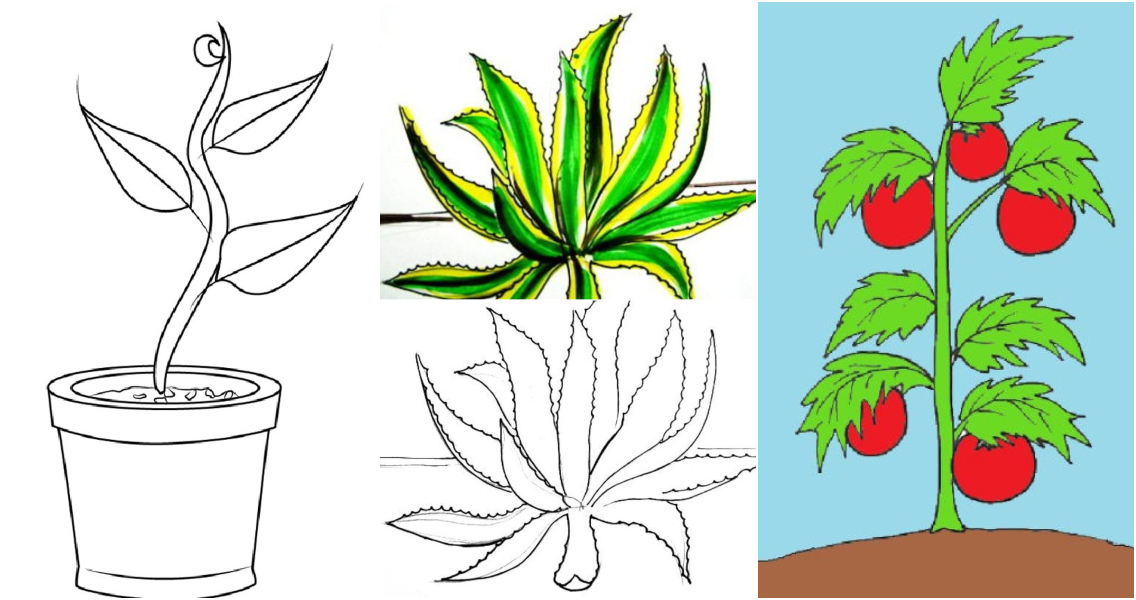 How to Draw a Potted Plant - Really Easy Drawing Tutorial