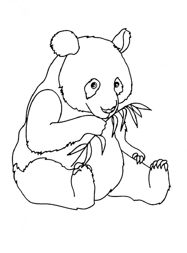 25 Free Panda Coloring Pages for Kids and Adults