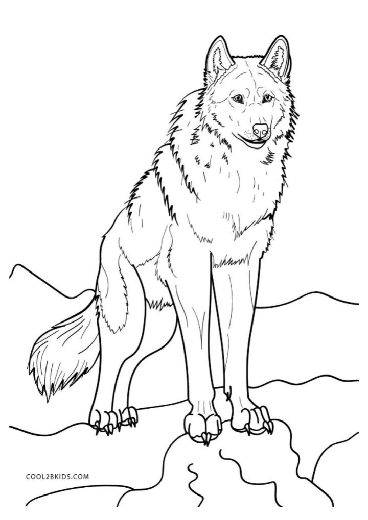 25 Free Wolf Coloring Pages for Kids and Adults Blitsy