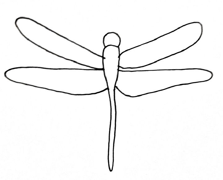 25 Easy Dragonfly Drawing Ideas - How to Draw