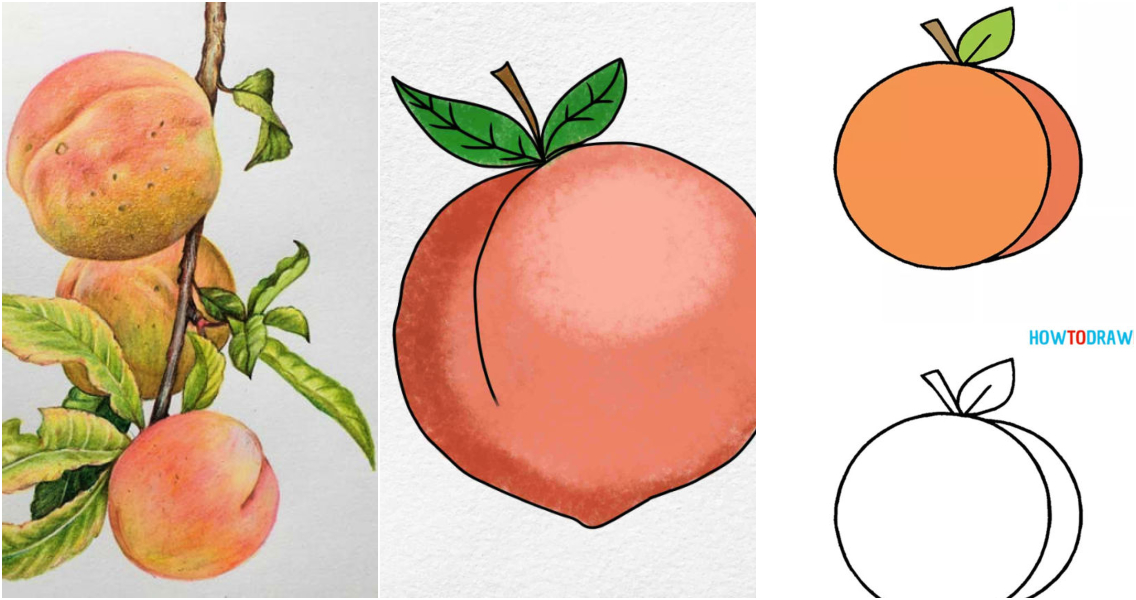 15 Simple Peach Drawing Ideas How to Draw a Peach Blitsy