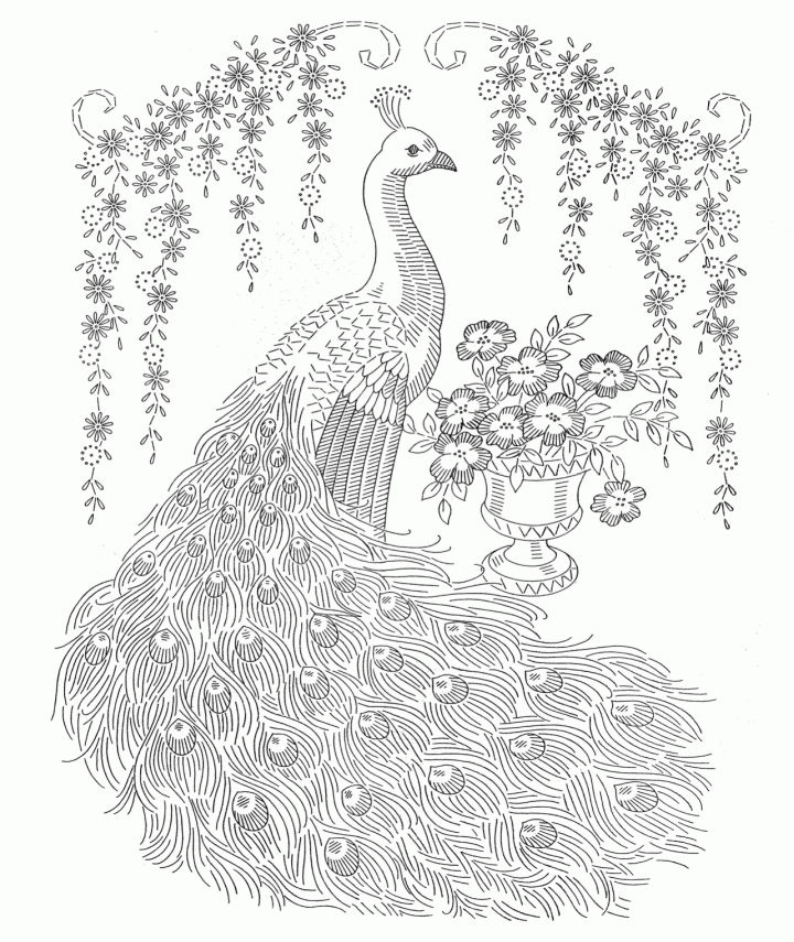 25 Free Peacock Coloring Pages for Kids and Adults