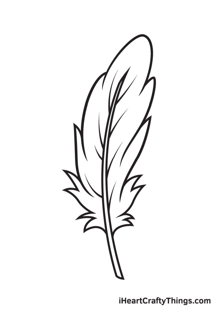 25 Easy Feather Drawing Ideas - How to Draw a Feather