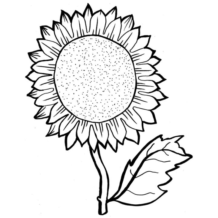 25 Free Sunflower Coloring Pages for Kids and Adults