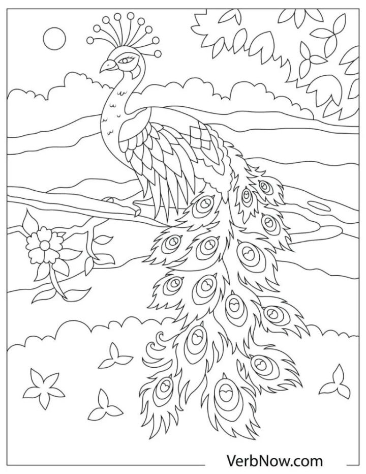 25 Free Peacock Coloring Pages for Kids and Adults