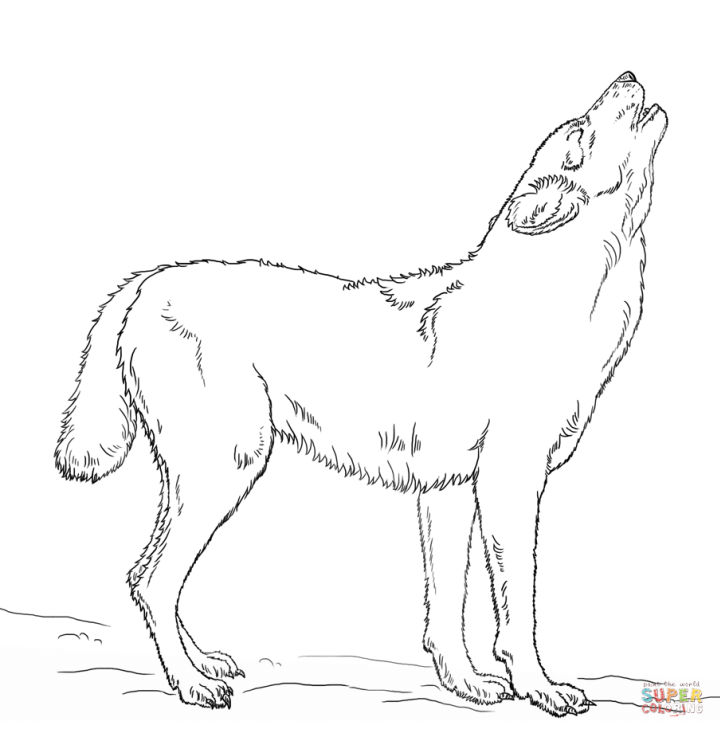 25 Free Wolf Coloring Pages for Kids and Adults - Blitsy