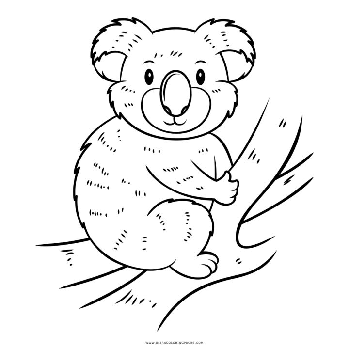 25 Free Koala Coloring Pages for Kids and Adults