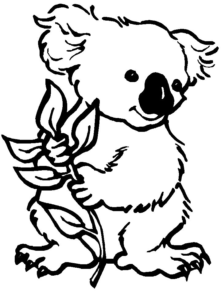 25 Free Koala Coloring Pages for Kids and Adults