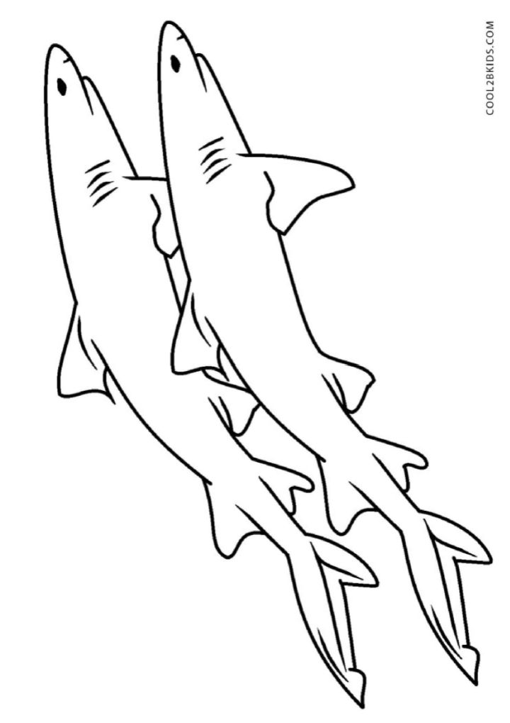 25 Free Shark Coloring Pages for Kids and Adults