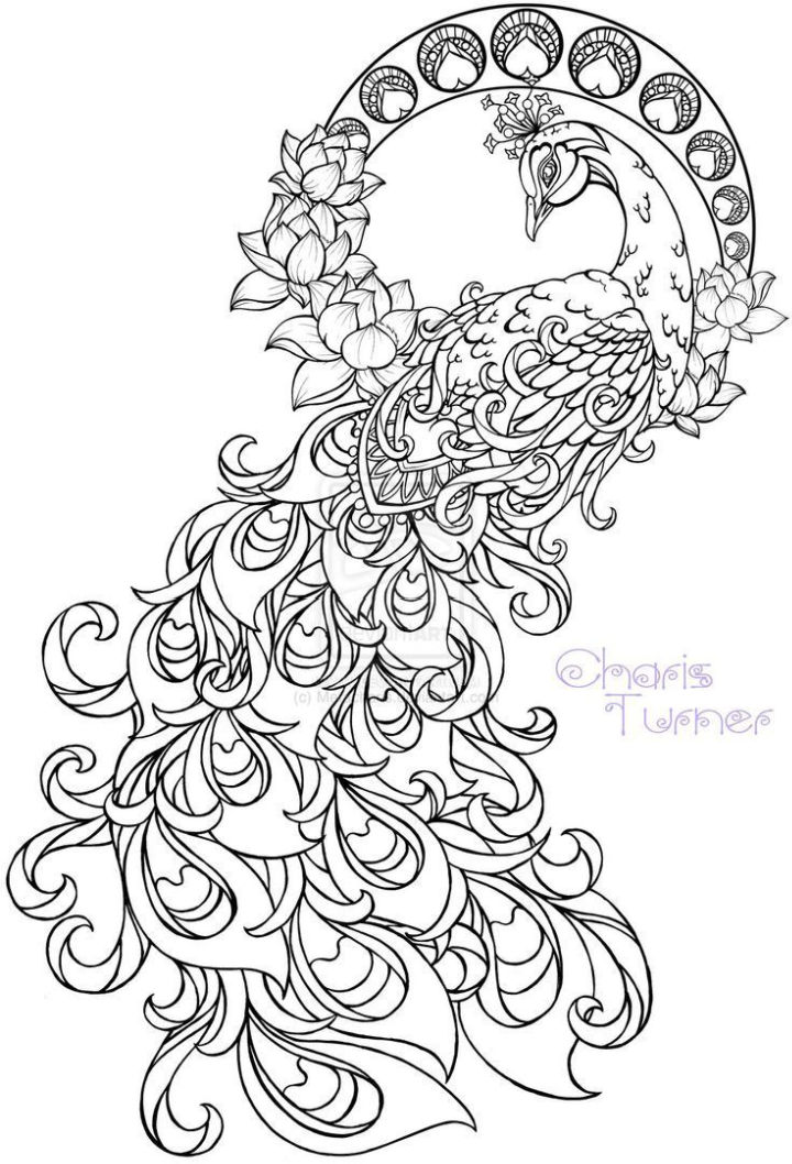 25 Free Peacock Coloring Pages for Kids and Adults