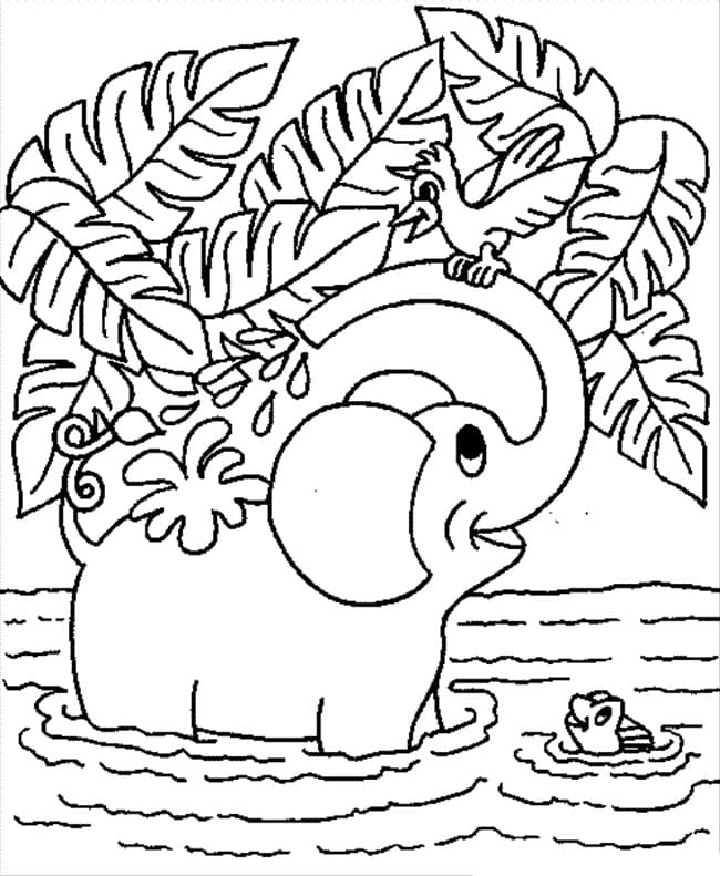 25 Free Elephant Coloring Pages for Kids and Adults