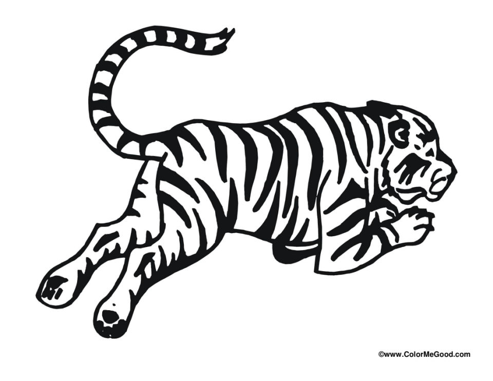 25-free-tiger-coloring-pages-for-kids-and-adults-blitsy