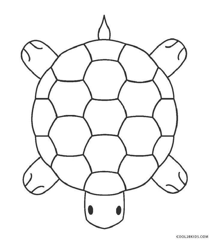 25 Free Turtle Coloring Pages for Kids and Adults