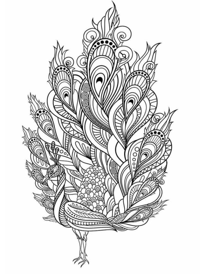 25 Free Peacock Coloring Pages for Kids and Adults