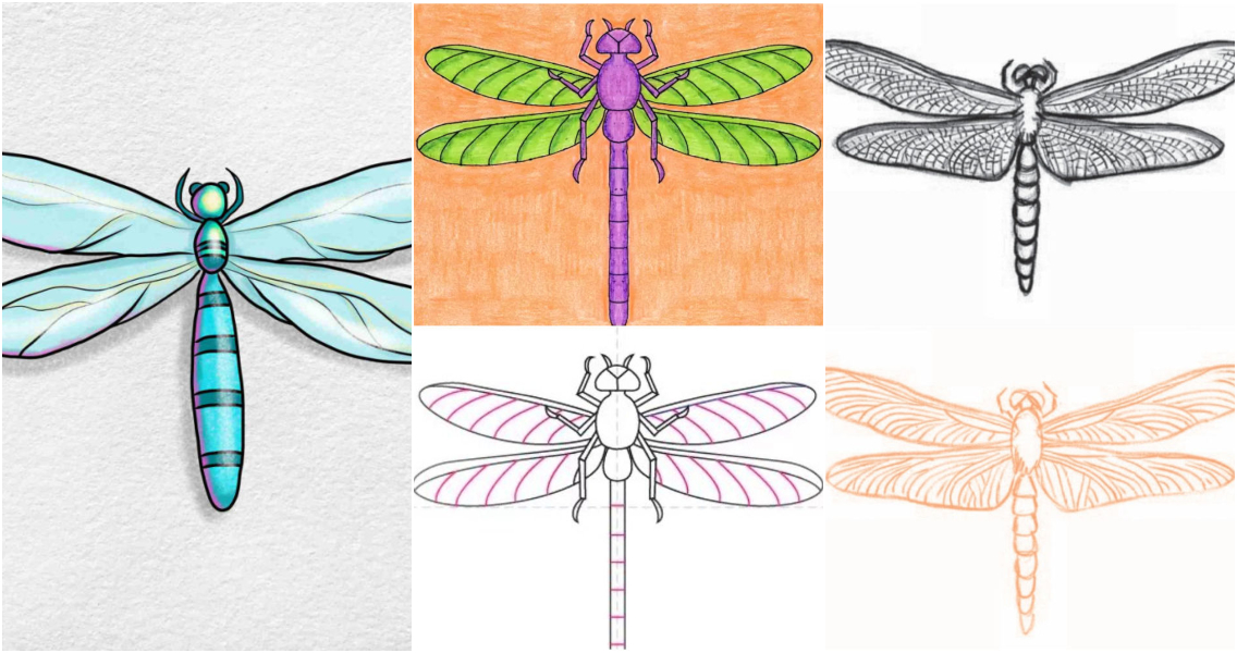 simple dragonfly drawings