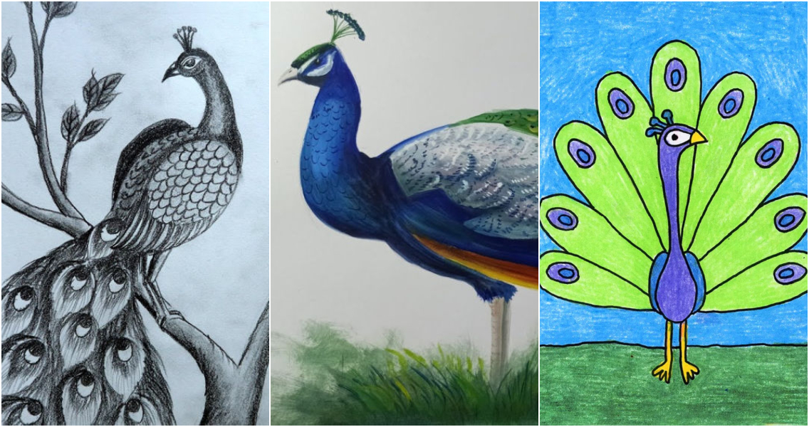 How to Draw Simple Peacock Drawing for Kids - video Dailymotion