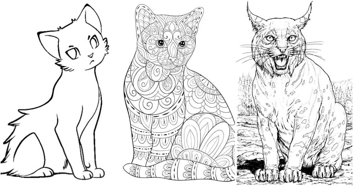 Anime Cat Girl Coloring Pages  AniYukicom