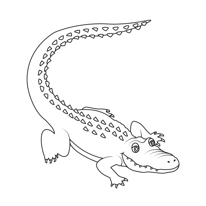 25 Easy Alligator Drawing Ideas - Draw an Alligator