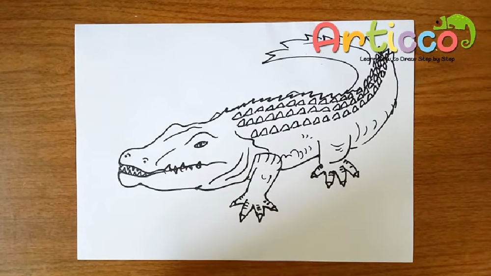 25 Easy Alligator Drawing Ideas - Draw an Alligator