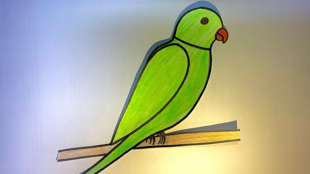 25 Easy Parrot Drawing Ideas - How to Draw a Parrot