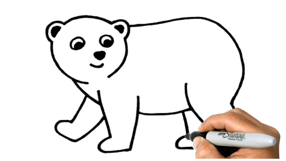 25 Easy Polar Bear Drawing Ideas - How to Draw
