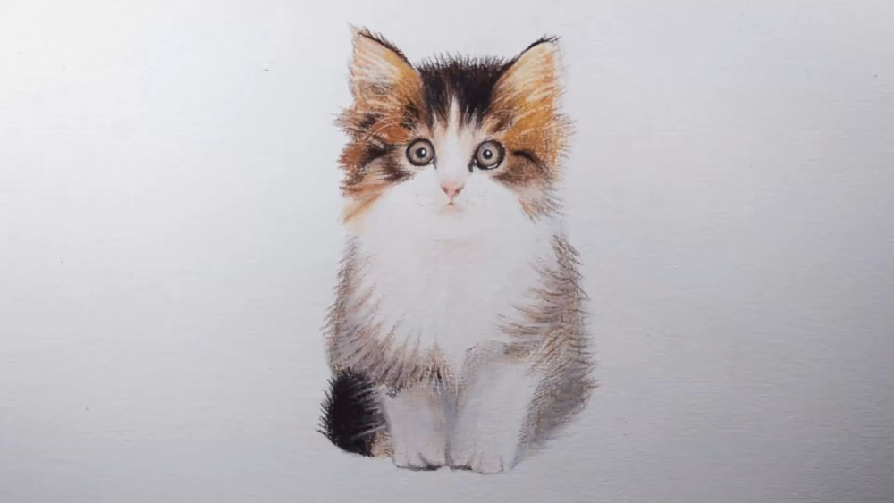 25 Easy Kitten Drawing Ideas How to Draw a Kitten