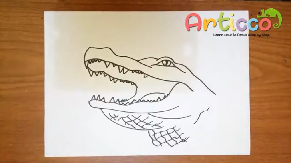 25 Easy Alligator Drawing Ideas - Draw an Alligator