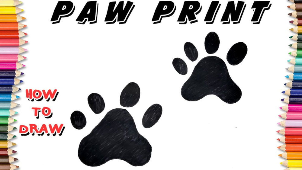 25 Easy Paw Print Drawing Ideas How to Draw