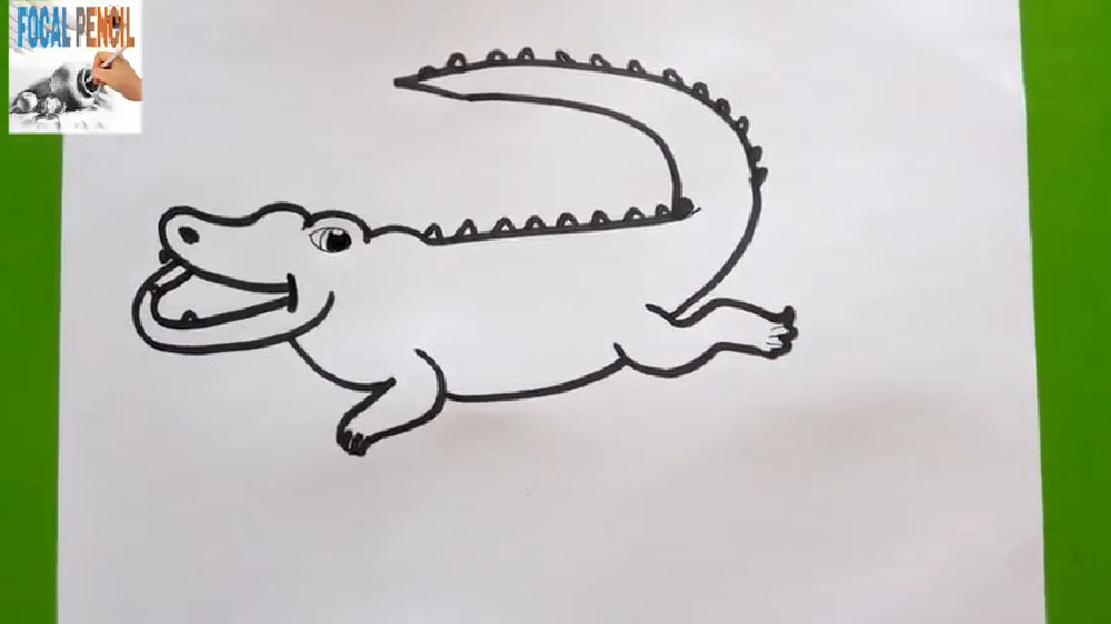 25 Easy Alligator Drawing Ideas - Draw an Alligator