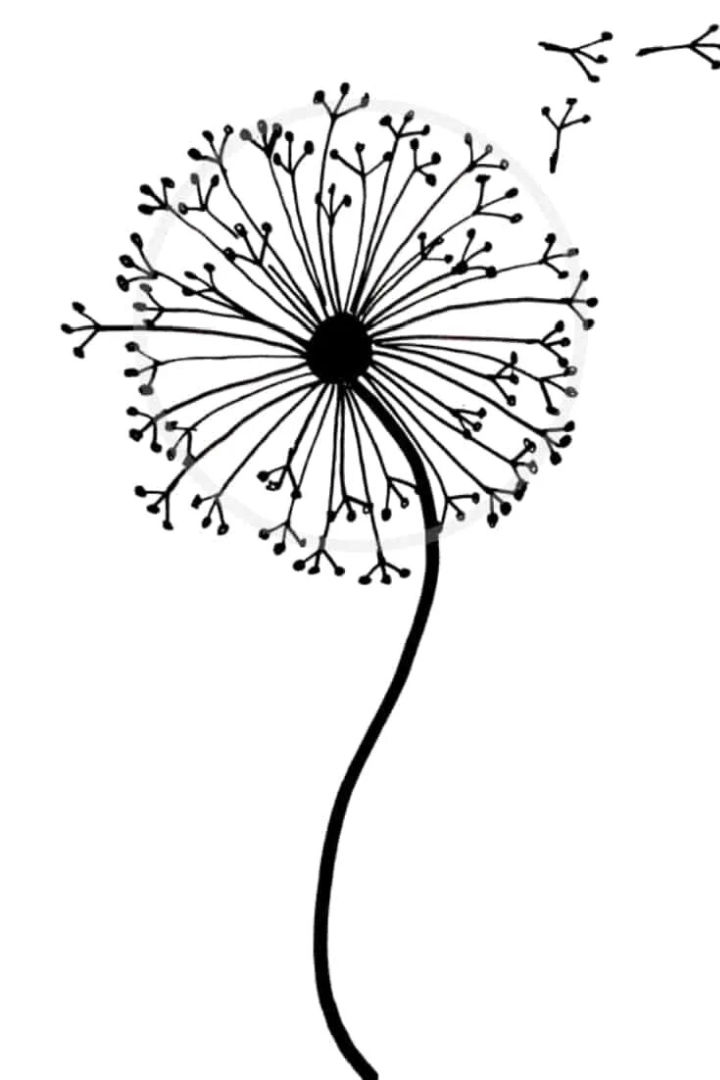 20 Easy Dandelion Drawing Ideas - How to Draw