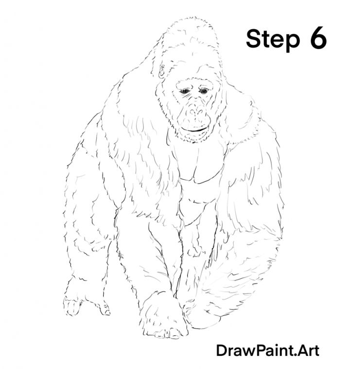 easy simple gorilla drawing