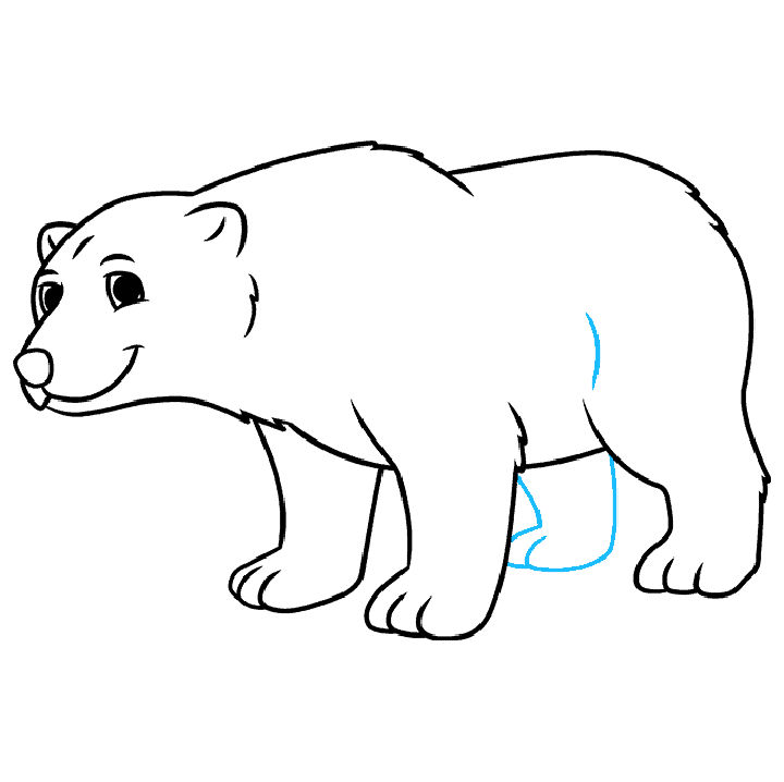 25 Easy Polar Bear Drawing Ideas - How to Draw