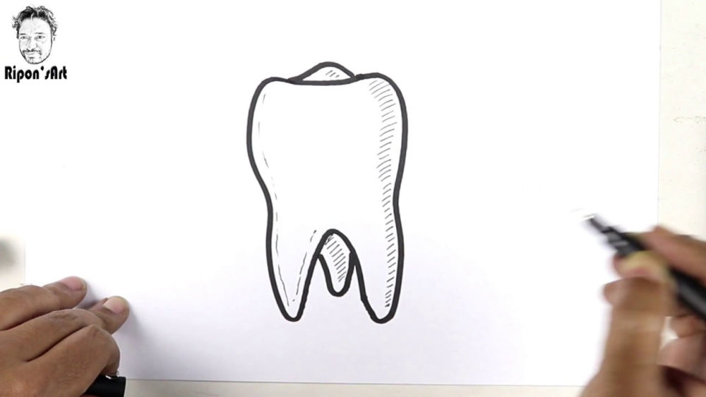 20 Easy Tooth Drawing Ideas - How To Draw A Tooth