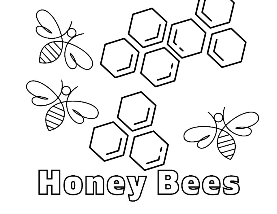 25 Free Bee Coloring Pages for Kids and Adults