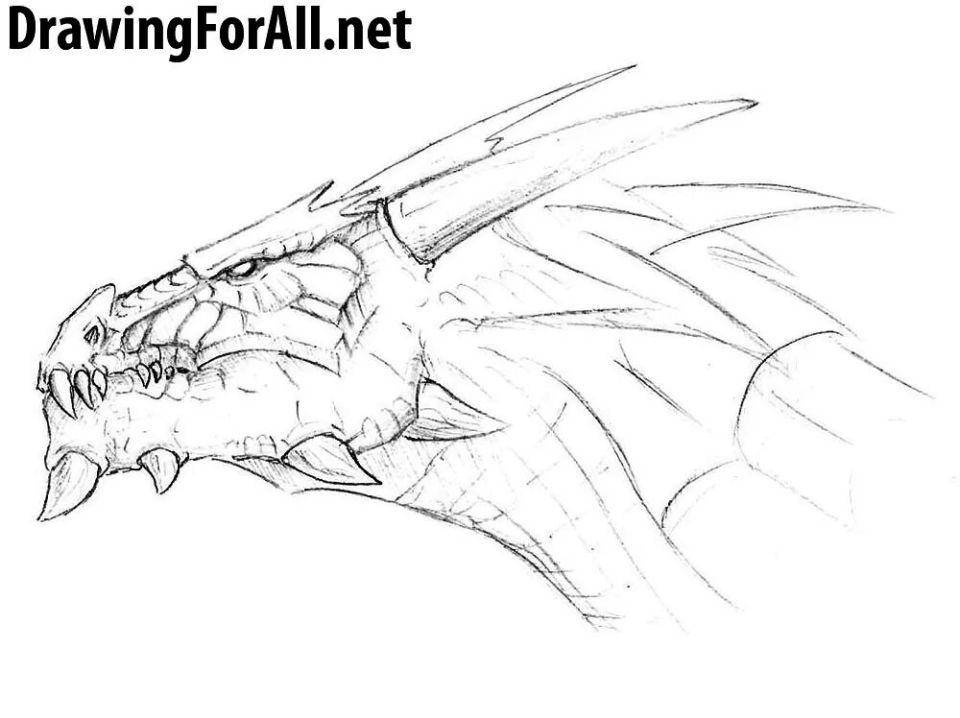 25 Easy Dragon Head Drawing Ideas - How to Draw