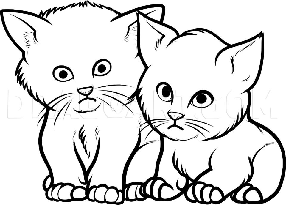 25 Easy Kitten Drawing Ideas - How to Draw a Kitten