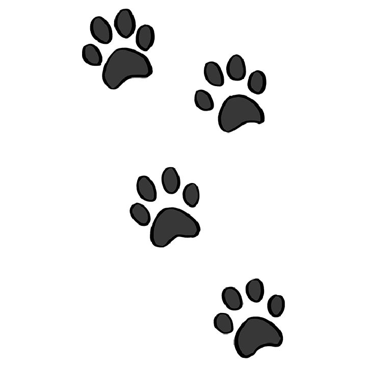25 Easy Paw Print Drawing Ideas How to Draw