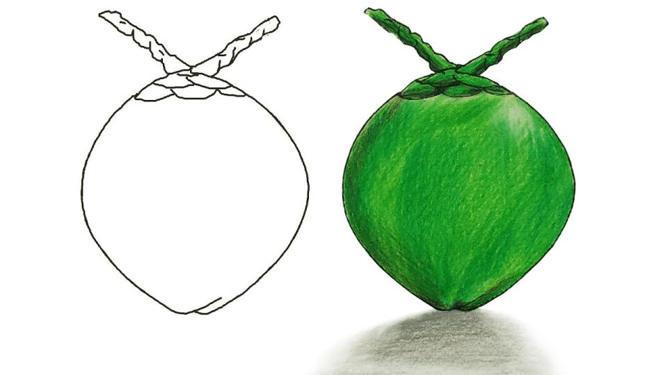 25 Easy Fruit Drawing Ideas How to Draw Fruit